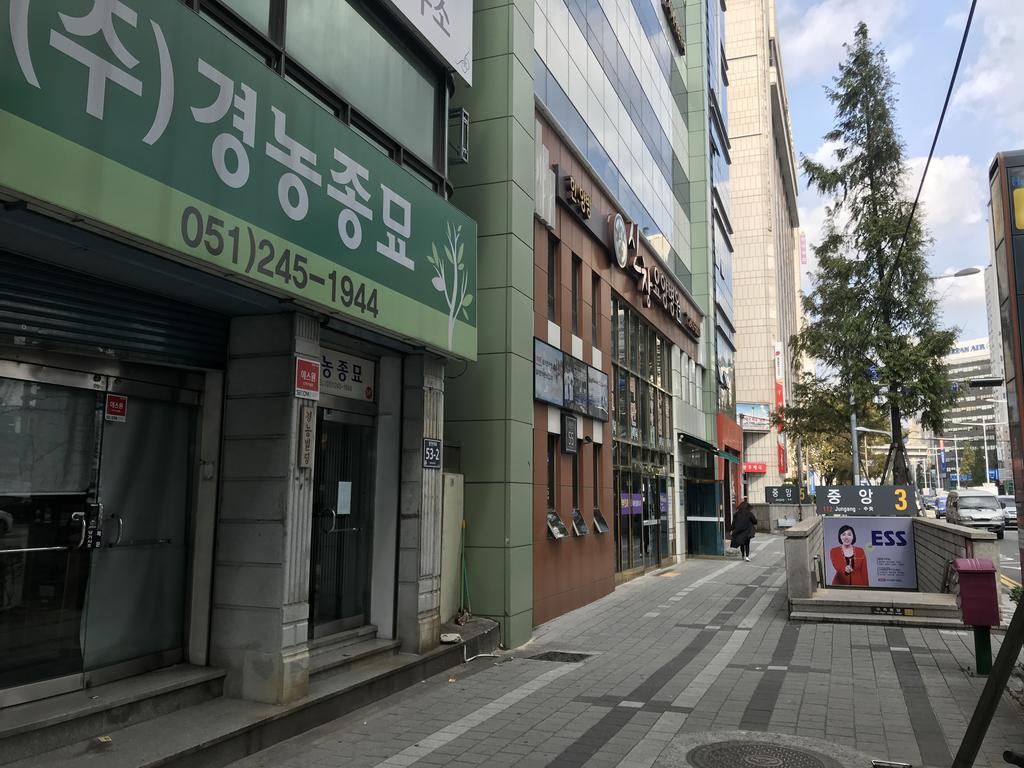 Hotel Mint House - Female Only Ciudad Metropolitana de Ciudad Metropolitana de Busan Exterior foto